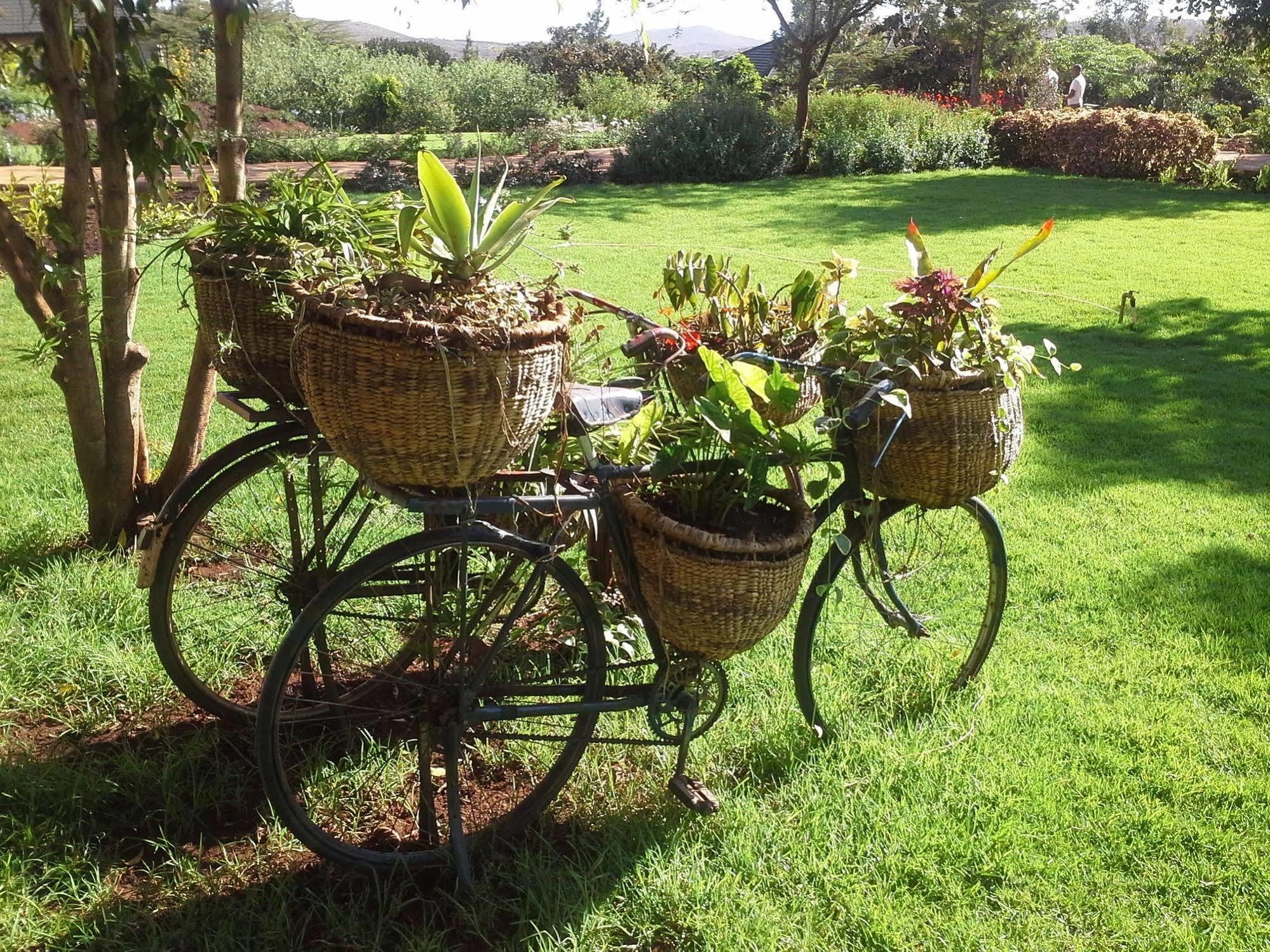 Acacia Farm Lodge Ngorongoro Exterior foto